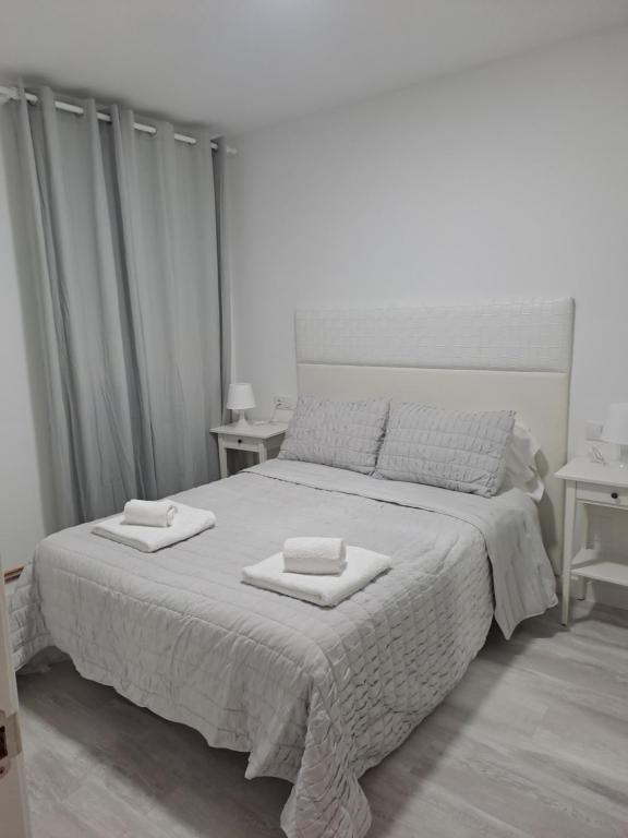 Apartamentos el Conde ll